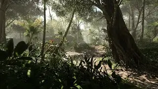 Battlefield V Pacific War #03 Jungle