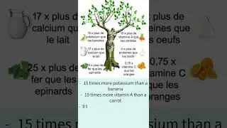 Moringa Magic: Nature's Superfood in a Nutshell #herbaltea #teatime