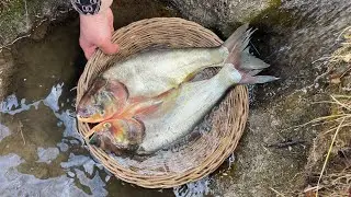Cooking Fish in Cloudy Nature 🌿🔥 | Outdoor Cooking Adventure!