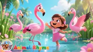 Flamingo Pink Song | Bella&rsquo;s Fun Lagoon Balance & Color Song