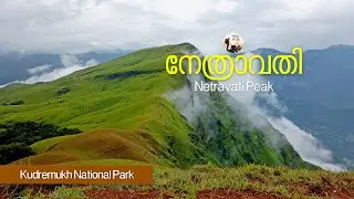 Netravati Peak Trek | Kudremukh National Park | പച്ചപ്പിന്റെ ഒരു മായാലോകം