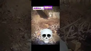 Average pet dog vs Street King 👑☠️ #shorts