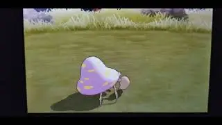 Pokemon Ultra Sun and Moon: Shiny Cubone after 83 encounters