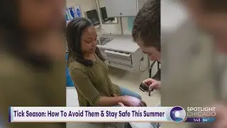 Tick Season: How To Avoid Them & Stay Safe This Summer