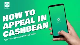 Quick Tips:how to appeal in CashBean?