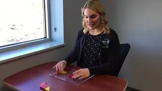 Vision Therapy- Visual Discrimination and Matching with Susie