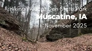 After the Rain: Cool Fall Morning at Wildcat Den State Park 🍂💦