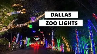 DRIVE-THRU DALLAS ZOO LIGHTS 2020