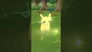 🌈 Red & Pikachu