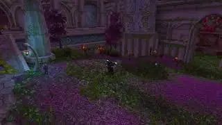 MMO Champion Spell Footage