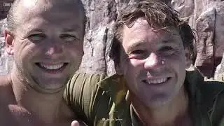 De Turista Ala Muerte [video Real] #curiosidades #datointeresante #turismo #animals #entretenimiento