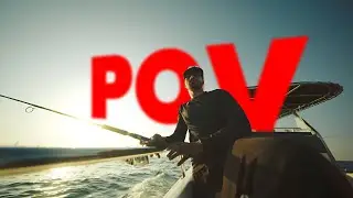 Massive Kingfish Catch in Abu Dhabi, Unreal Day at Sea!|AbuDhabi|fishing|saltdays|winter fishing
