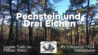 Legale Trails im Pf&auml;lzer Wald - Pechstein - Drei Eichen - YT Decoy - &Ouml;hlins