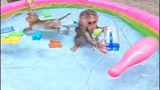 Two little monkey sisters play while bathing in the swimming pool