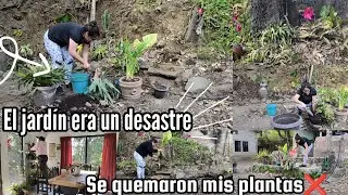Regresamos al Jardín 🌸👩🏻‍🌾🐝/ Casi pierdo mi jardín,todo estaba muy mal ❎😭😩