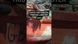 Тристан-да-Кунья &mdash; самый изолированный город в мире. Самое отдалённое сообщество на Земле!