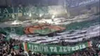 pao13