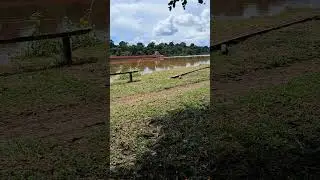 Mas um dia normal no nosso Brasil kkk