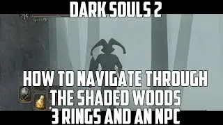 Как перемещаться по Тенистому лесу в Dark Souls 2