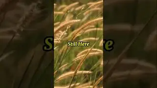 StillHere#RawEmotions #SadTok#HealingVibes #GravelVoice#CryingSong #HeartfeltSound#aigenerated