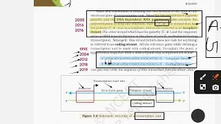 NCERT Molecular Basis of Inheritance | 36 Years PYQ Marking | Genetics NEET 🔥