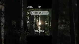 Forest Dreamscape | 852Hz | Nature Sounds for Restful Sleep