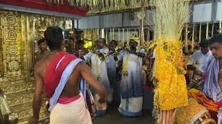 മരുതമലൈ മാമുനിയെ മുരുകയ്യാ | muringoor brothers |തൃശൂർ live| 