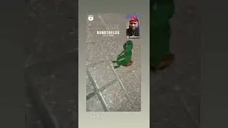 twerking frog filter over cockroach  #funny #comedy #humor #fun #laughing #entertainment #meme