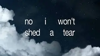 Stand By Me by Ben E. King #standbyme #lyricvideo #music #musiclyrics 