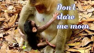 Pity poor newborn Toni shaking body scare mom Tara staring her-Why Tara hate newborn like this