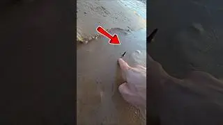 Extremely Dangerous Public Beach
