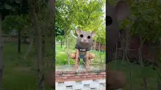 Rat 🐀Chup Q nhi ho rha😤 #funny #comedy #youtubeshorts #shortsfeed #cat #rat #viralvideo