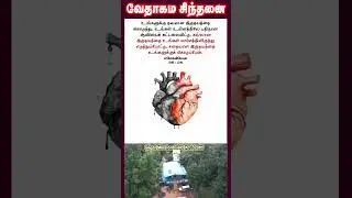 வேதாகம சிந்தனை  SHORTS | Tamil Christian 101 | Christian Messages