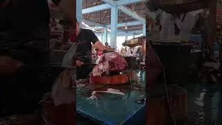 Highlight live - aktigitas di padar ikan #fishcutting #fillet #fish