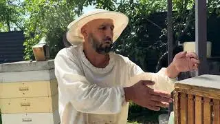 Демонструю як спрацював бджоловидаляч 21.06.2024