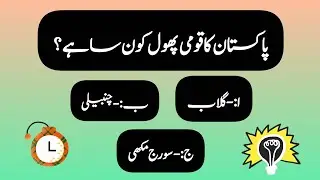 General knowledge Quiz about Pakistan || Mind testing game 🧠 || Misseverything 💕