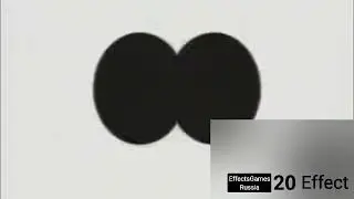 MTV Home Video   in   Confusion