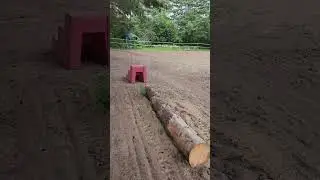 Figure 8 point to point with barrels!