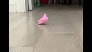 Slow mo dino
