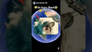 🧐🦈 Scary Shark 🥶 Found In Google Earth!? #shorts #trending #map #googleearth #datadefender4u