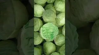 Fresh Organic Magic Cabbage 🥬🥦#funny #comedy #magic #cabbage #subscribe #shorts #foryou