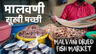 Dry fish market Malvan🐟 | सुख्या माश्यांचा बाजार मालवण | मालवणी सुखी मच्छी.