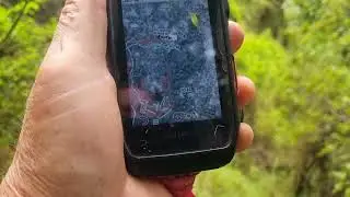 Calling dogs off a bail 