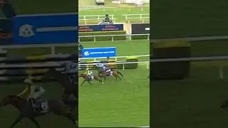PRIDE OF JENNI GETS RUN DOWN BY CEOLWULF #horseracing #sporthorses #horsesports #horsetrials