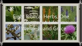 WISDOM 8 Bible Based Herbs In One Supplement #ChristianDailySupplement #Immunity #BibleHerbs
