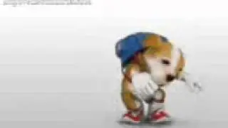 Perrito chocaron
