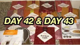 DAY 42 & DAY 43 | CHANGE OF JOURNEY |EXANTE JOURNEY 2019 |