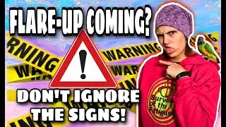10 ME/CFS Flare Warnings: Manage Chronic illness Crashes Early