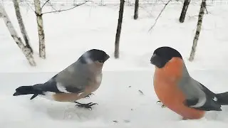 it could be us, but... 