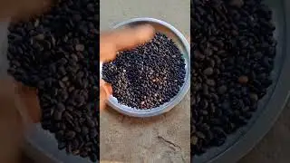 Black horse gram /reduce belly fat 15 days #shorts